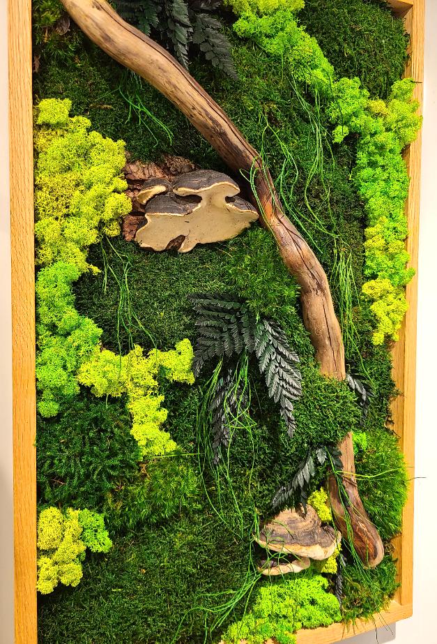 Mushroom Moss