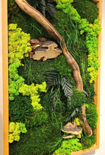 Load image into Gallery viewer, Mushroom Moss
