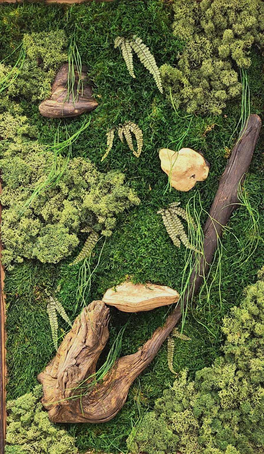 Mushroom Moss