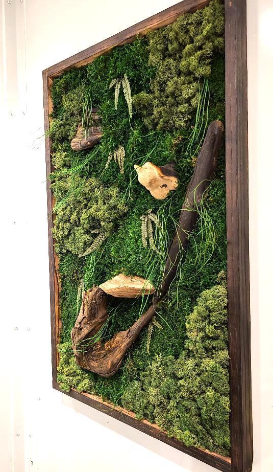 Mushroom Moss
