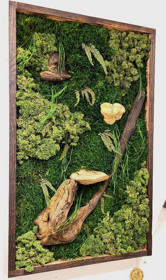 Mushroom Moss