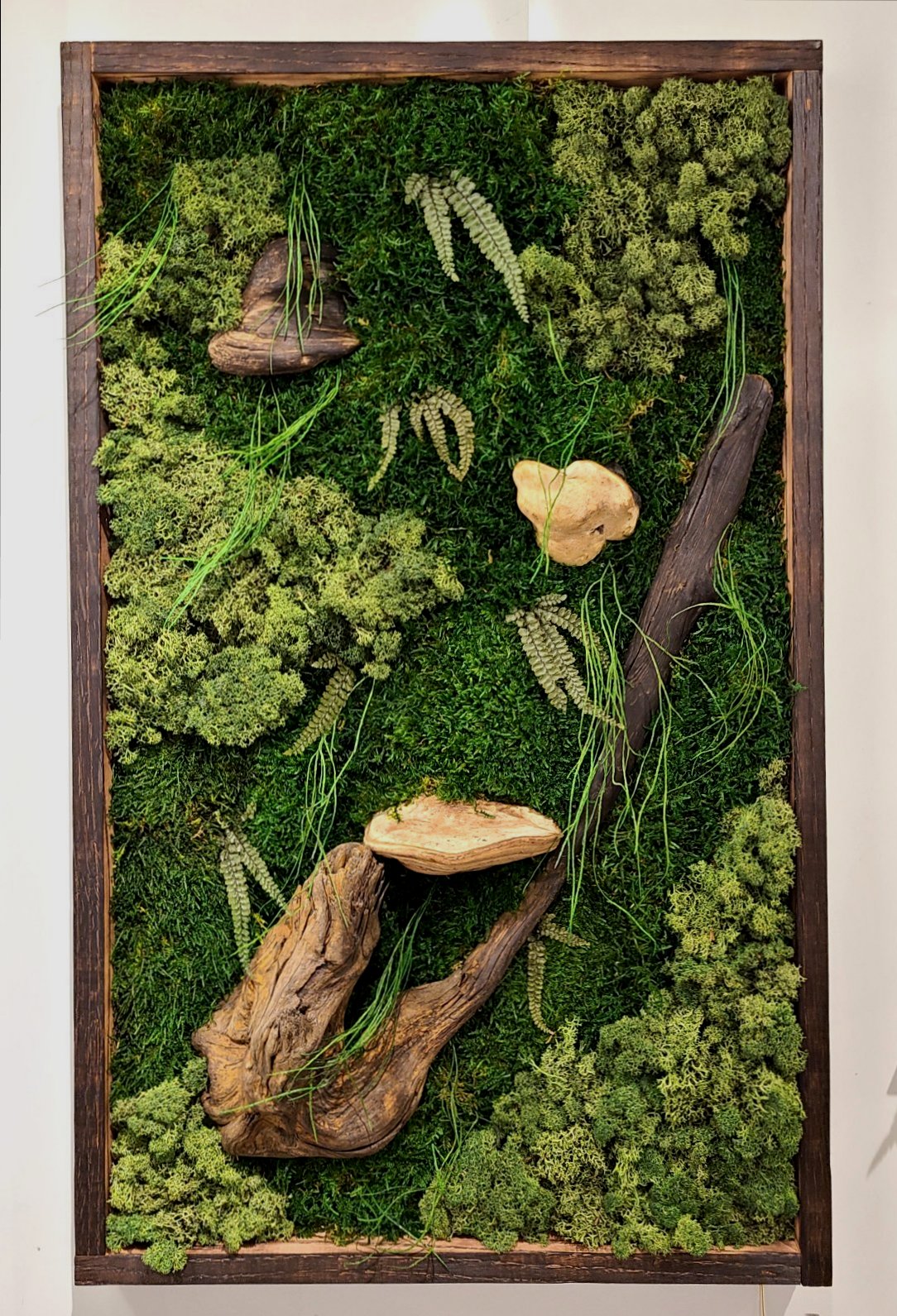Mushroom Moss