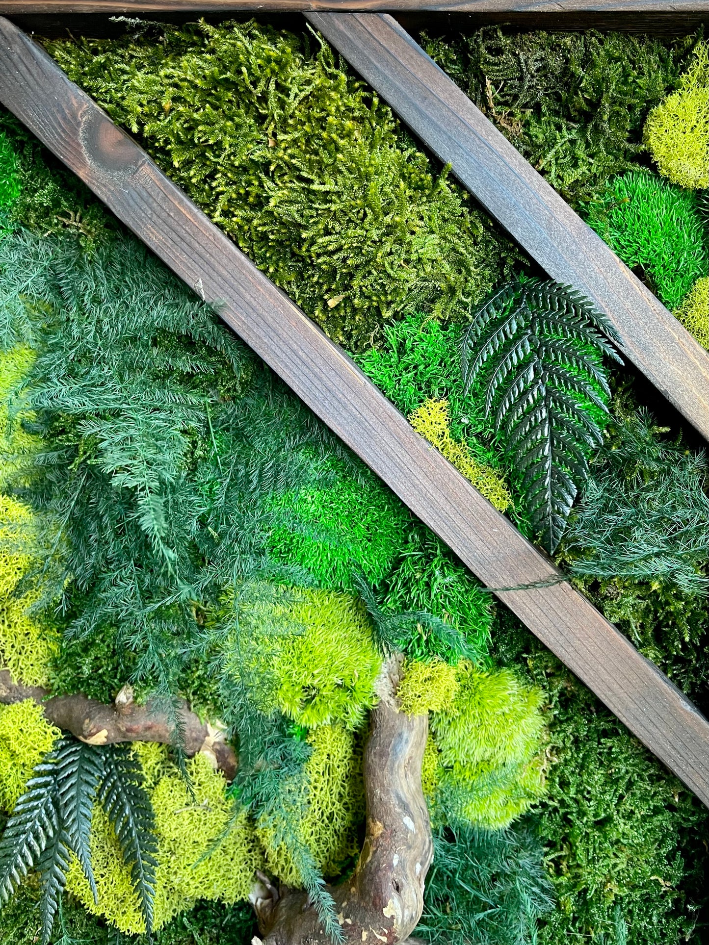 Forest Floor