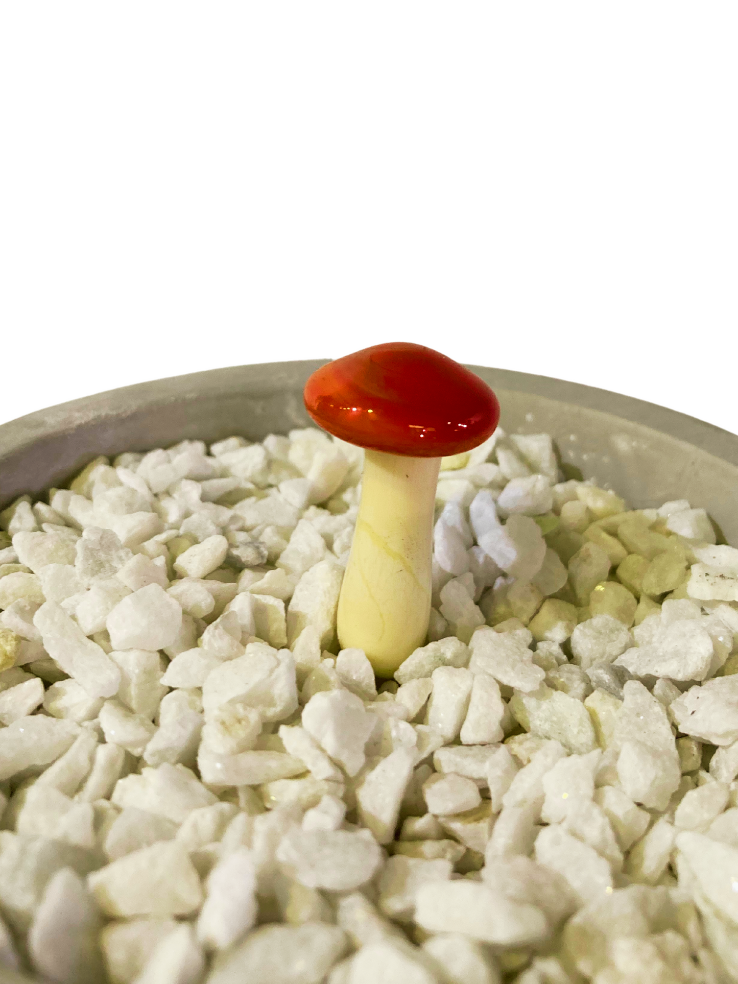 Mushroom Glass Sculptures