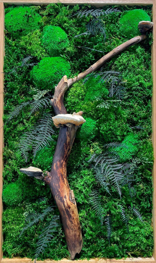 Mushroom Moss