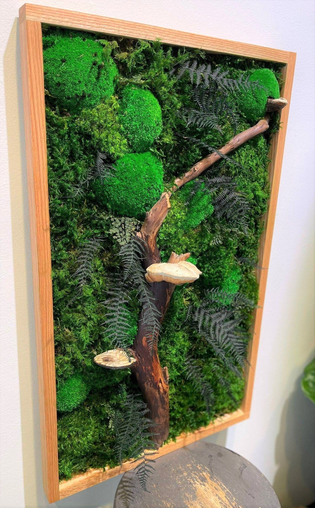 Mushroom Moss