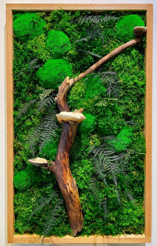 Mushroom Moss
