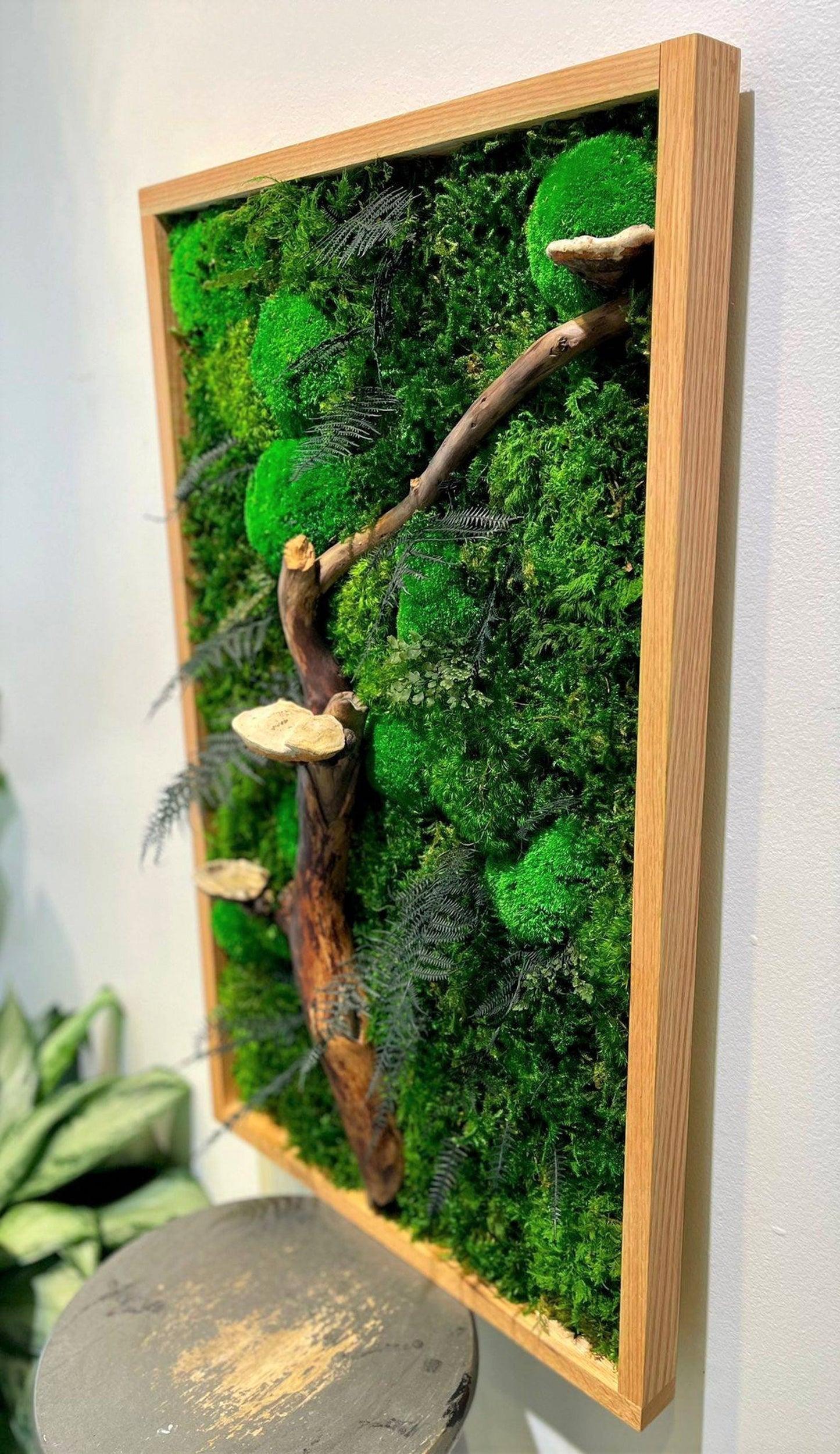 Mushroom Moss
