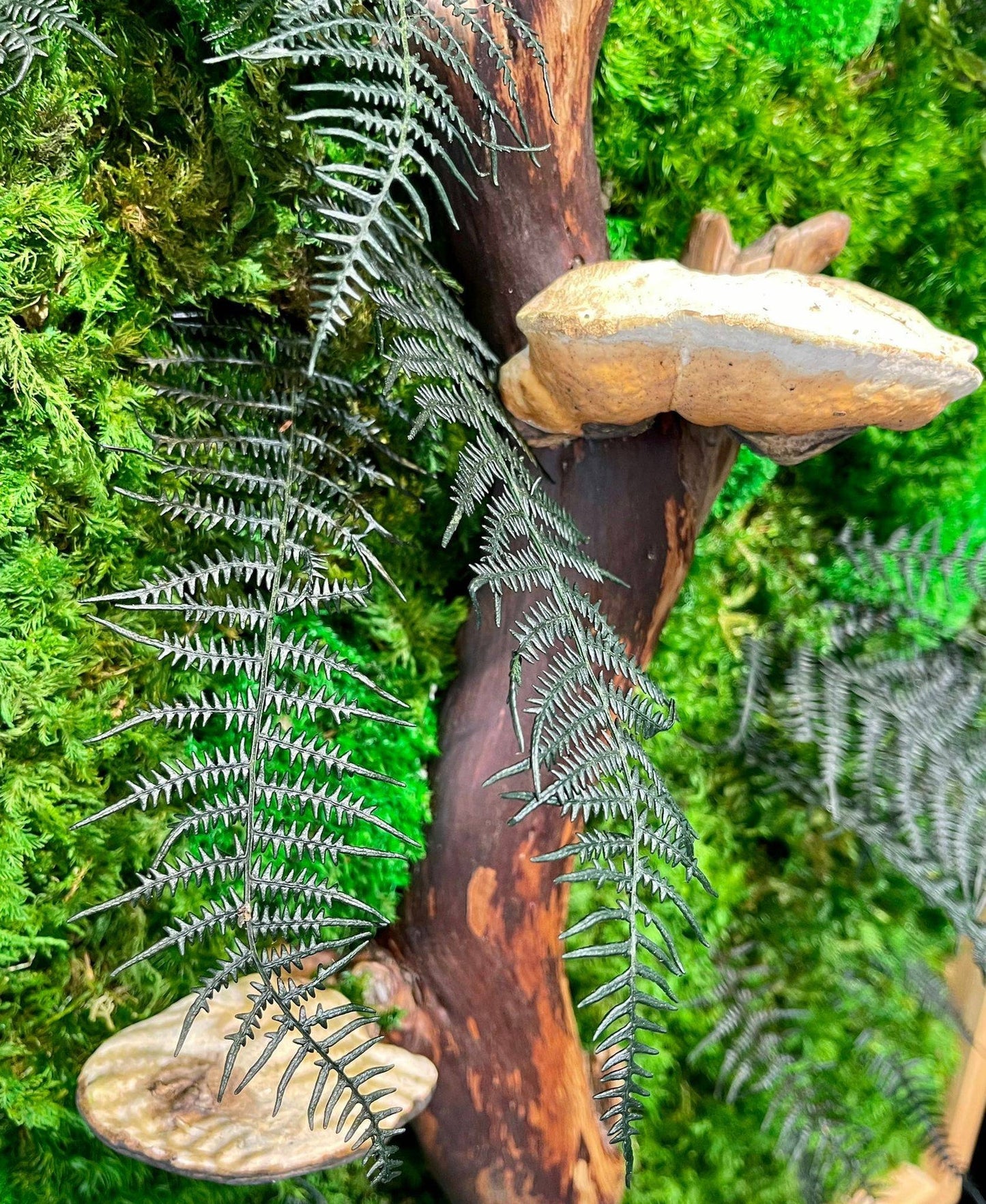 Mushroom Moss