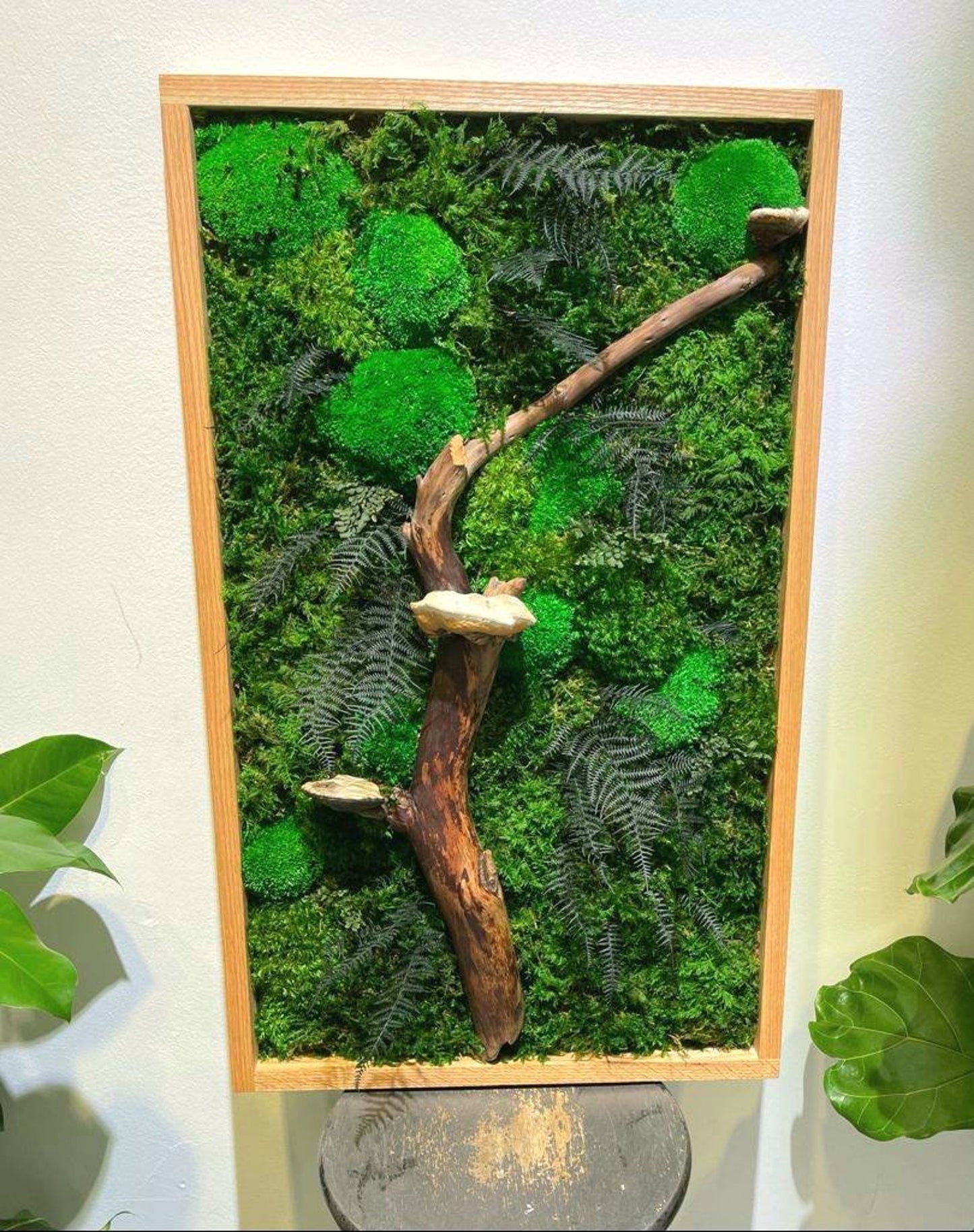 Mushroom Moss