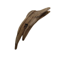 Load image into Gallery viewer, Driftwood Air Plant Holders - 1 Plant
