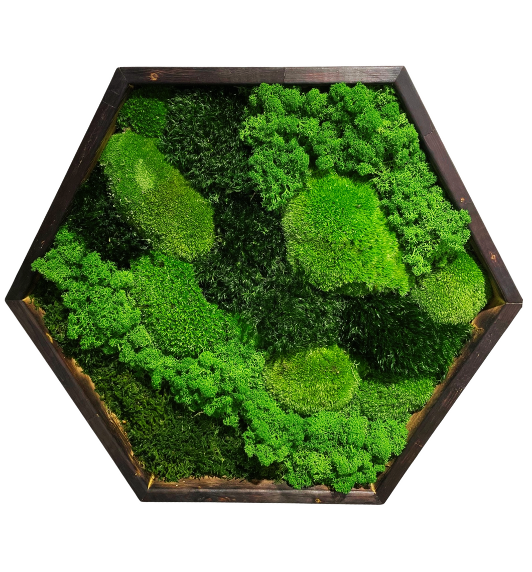 The Green Current - Hexagon Moss Art