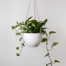 Load image into Gallery viewer, Kanso Signature Stone Hanging Planter
