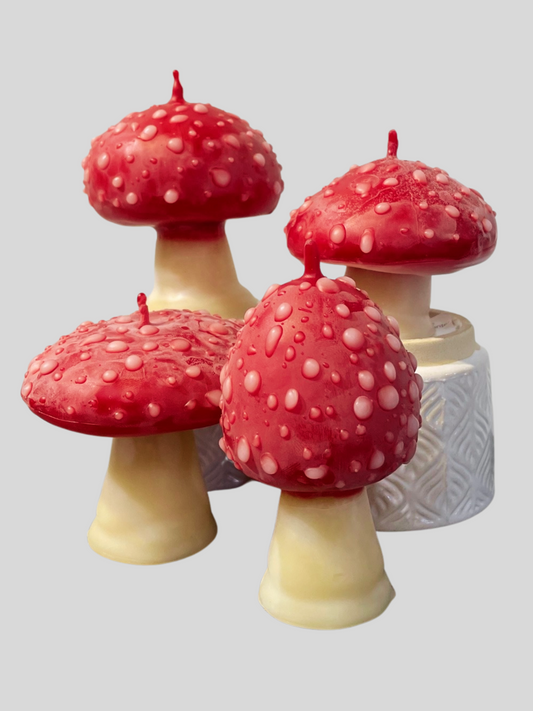Mushroom Beeswax Candle