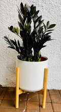 Load image into Gallery viewer, White Phoebe Planter

