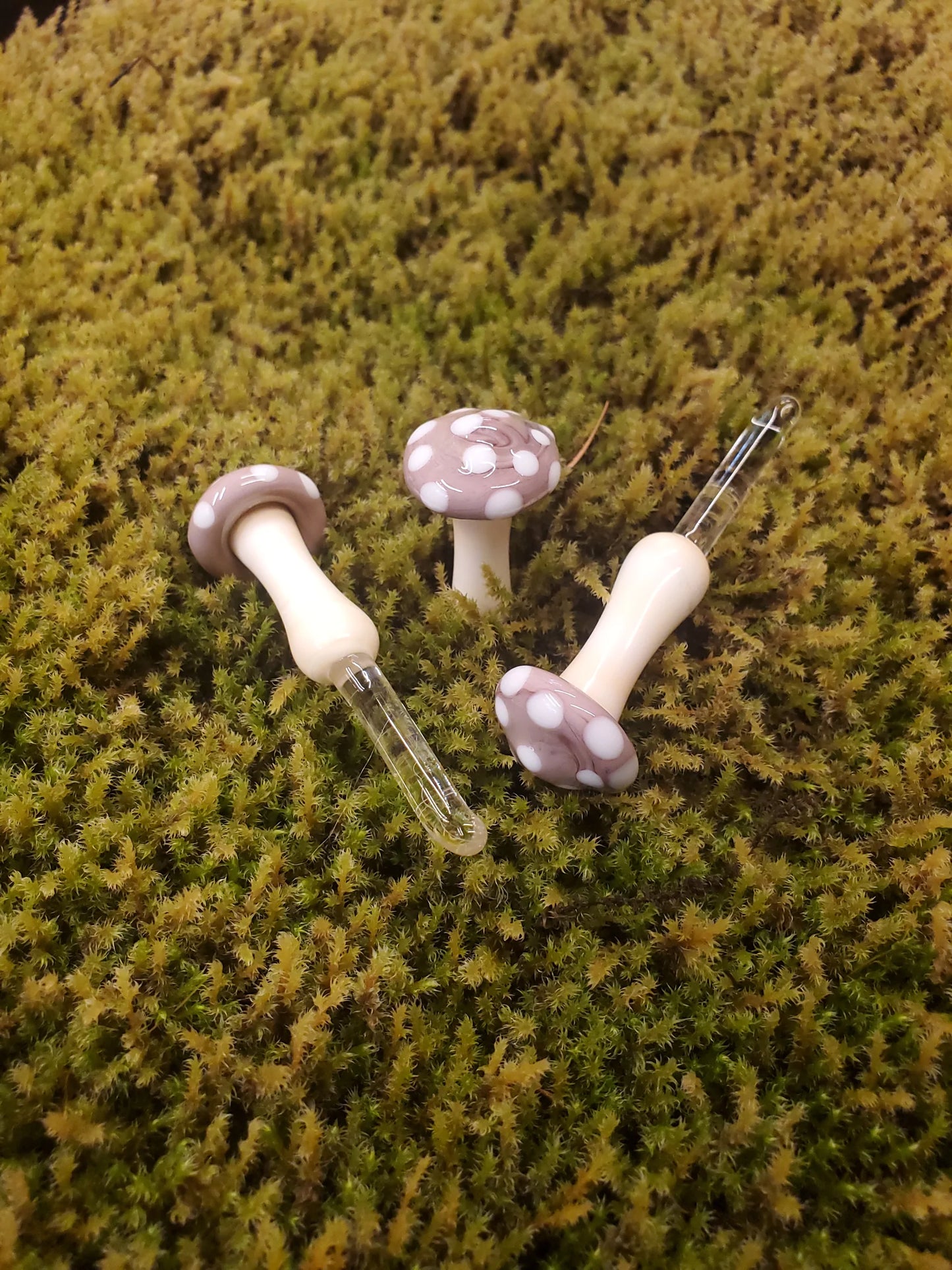 Mushroom Glass Sculptures
