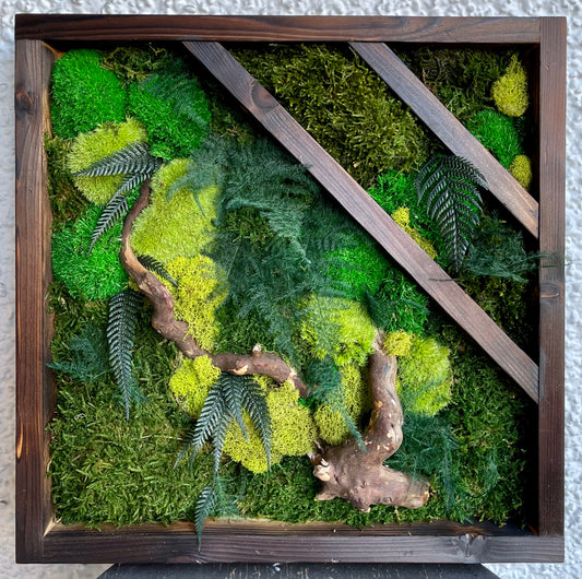 Forest Floor