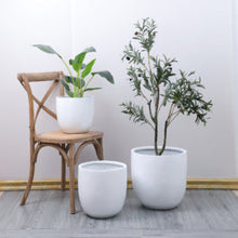 Load image into Gallery viewer, White Rounded Fibreglass Planters
