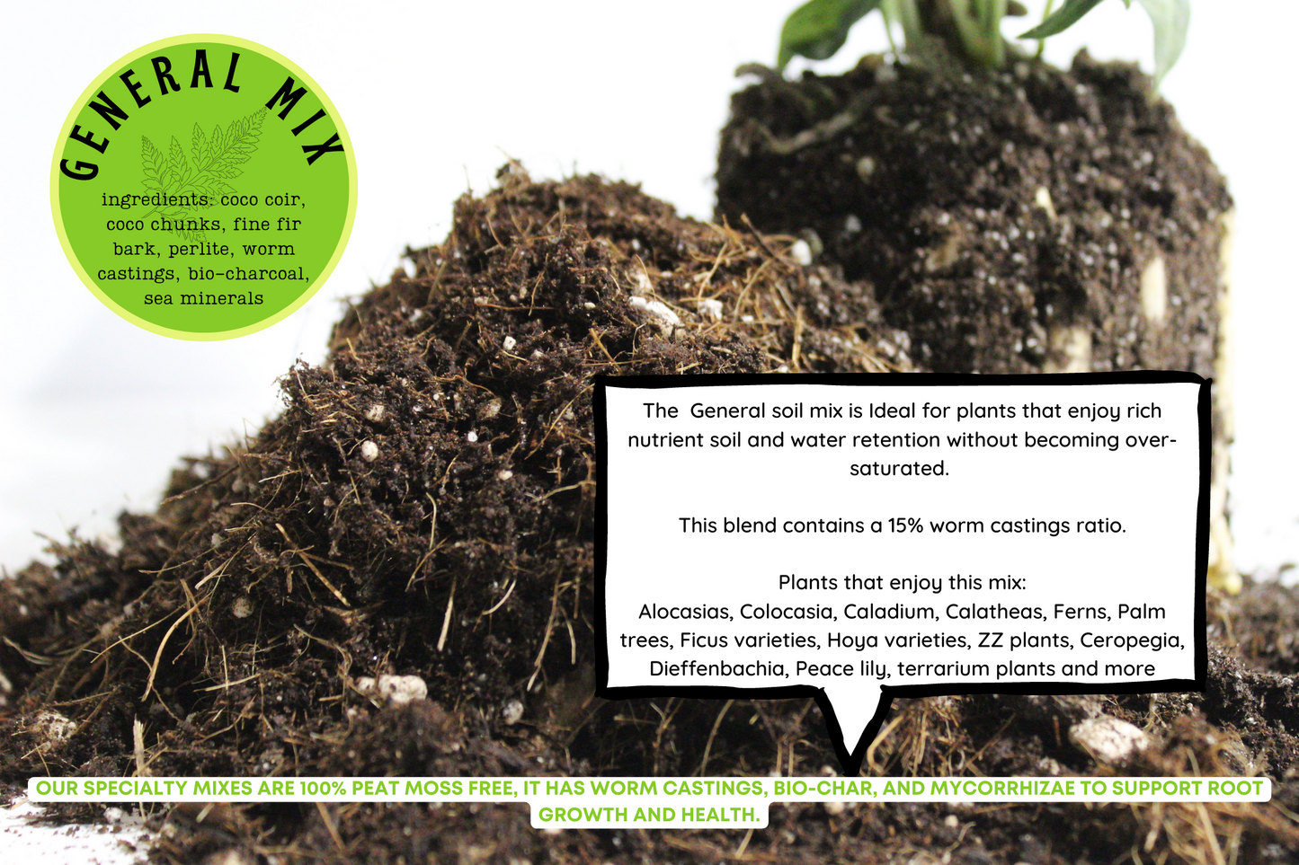 Potting soil -General mix-
