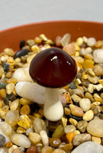 Load image into Gallery viewer, Mushroom Glass Sculptures
