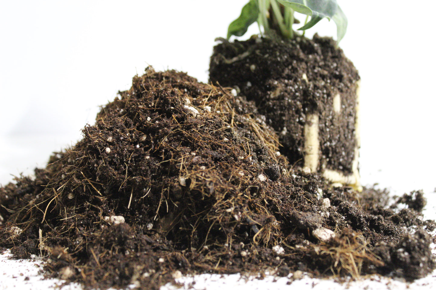 Potting soil -General mix-