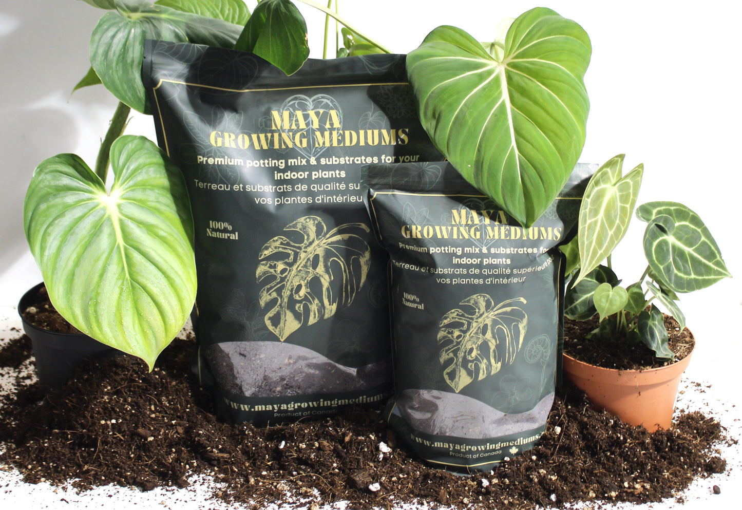Potting soil -General mix-