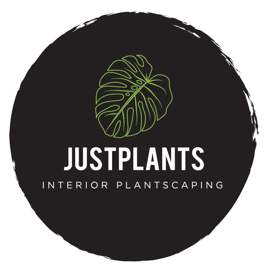 JUSTPLANTS Gift Card - JUSTPLANTS