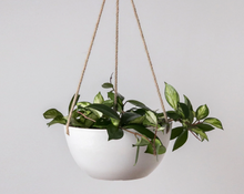 Load image into Gallery viewer, Kanso Signature Stone Hanging Planter
