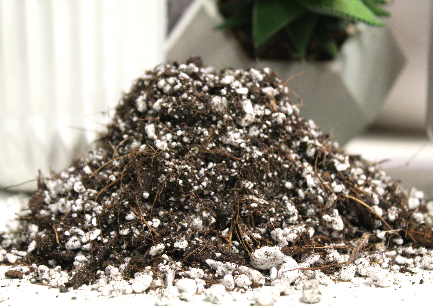 Potting soil -Cactus mix -