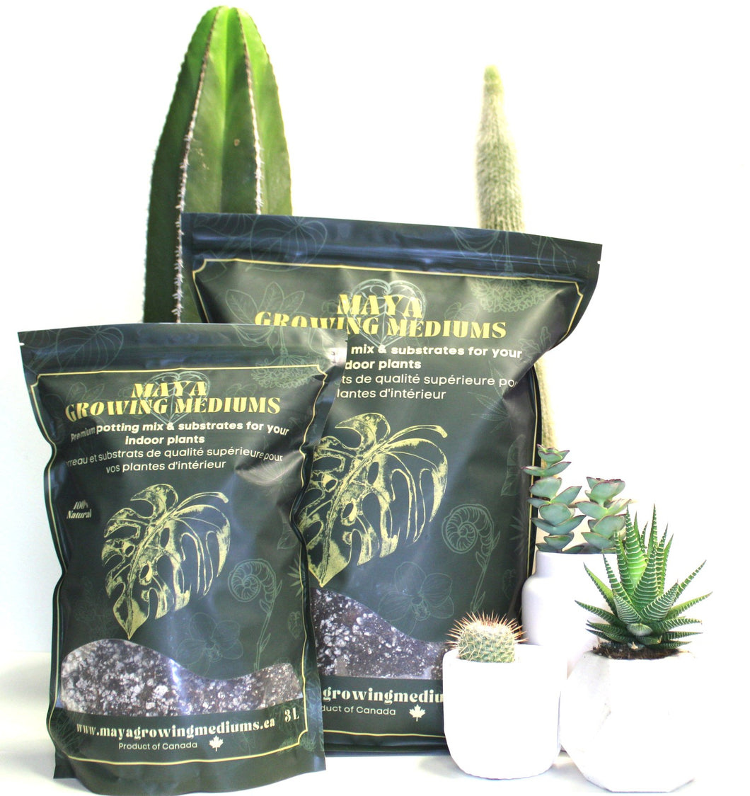 Potting soil -Cactus mix -