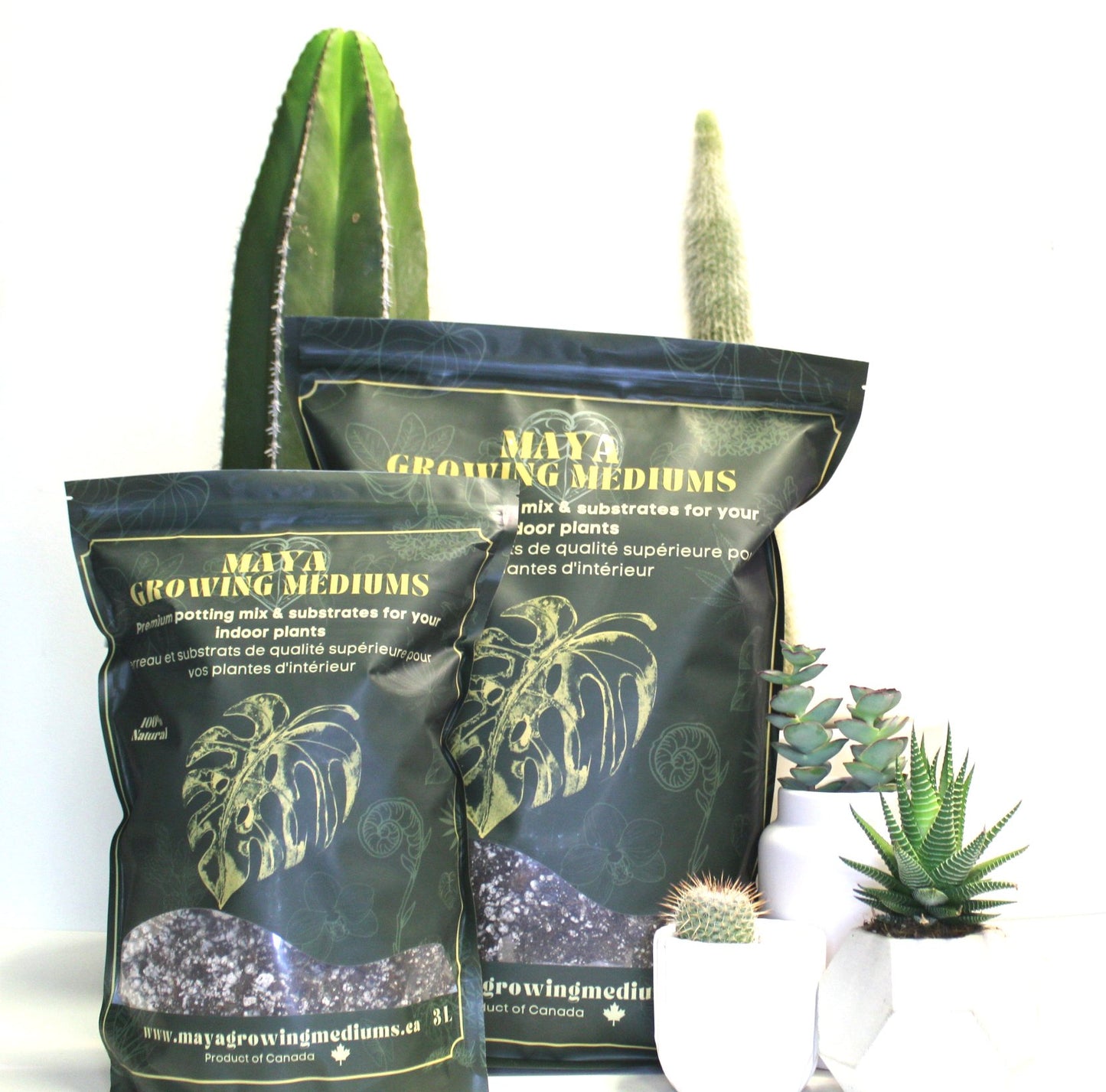 Potting soil -Cactus mix -