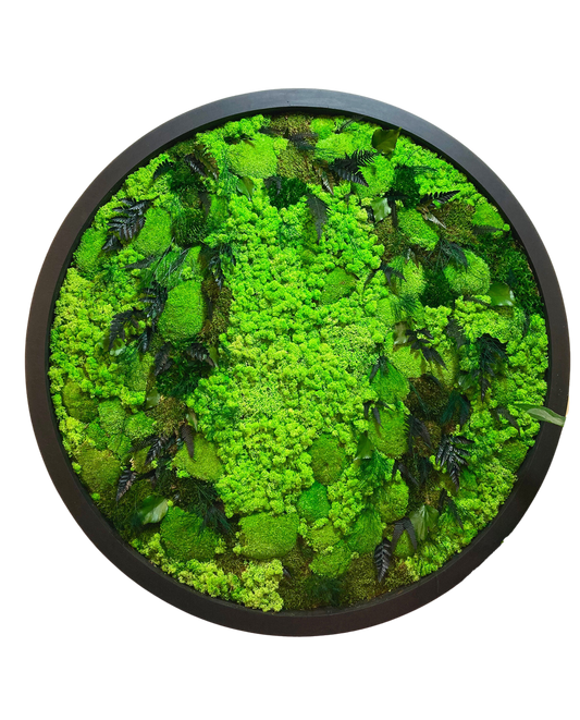 Prairie of Moss
