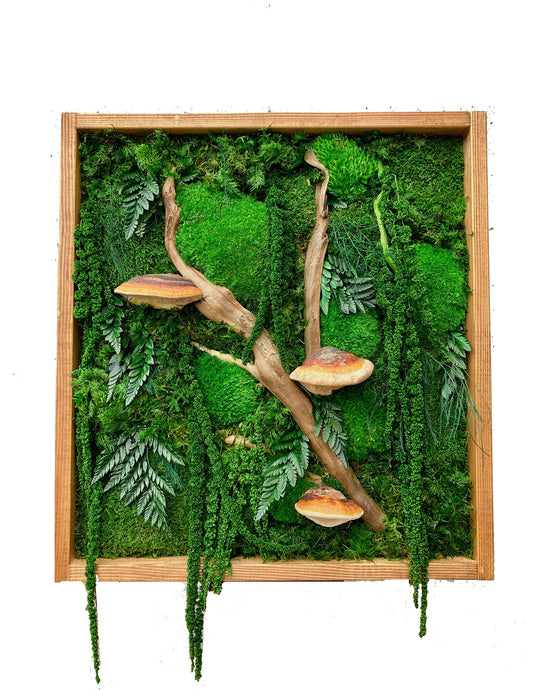Mushroom Trees
